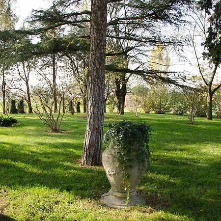 Podere San Giuliano Βίλα Σαν Λάτζαρο ντι Σάβενα Εξωτερικό φωτογραφία